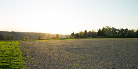 Fototapeta premium Magstadt