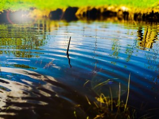 Water  © Julia