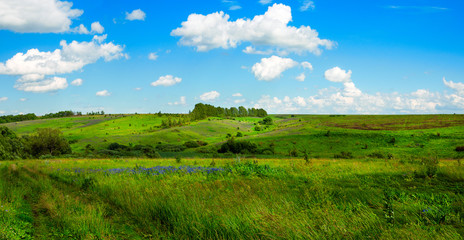 Fototapeta na wymiar Beautiful panoramic view of green hills with trees on a sunny summer day