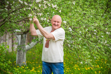 Senior man in embroidered shirt at blossom garden