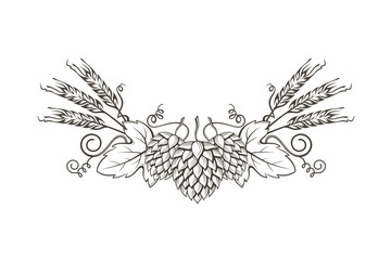 black illustration of hop and barley for brewing isolated on white background