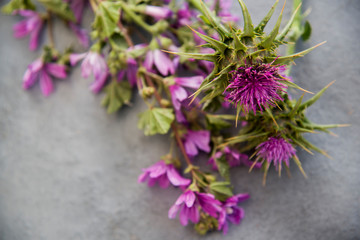 purple wild flowers on a gray metal surface