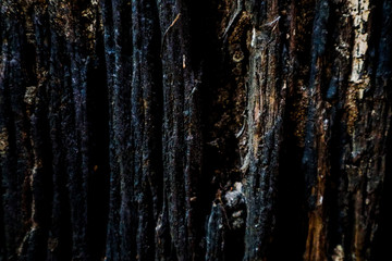 Beautiful rock wood and stone abstract texture background and wallpaper