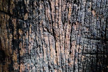 Beautiful rock wood and stone abstract texture background and wallpaper