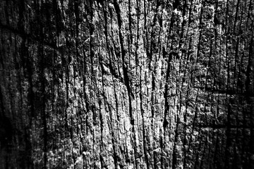 Beautiful rock wood and stone abstract texture background and wallpaper