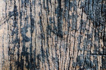 Beautiful rock wood and stone abstract texture background and wallpaper