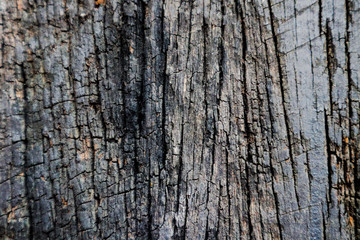 Beautiful rock wood and stone abstract texture background and wallpaper