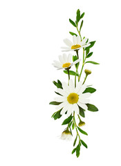 Fototapeta na wymiar Daisy flowers in a floral arrangement