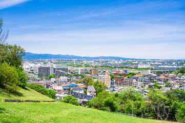 Fototapeta na wymiar 新緑の丘から眺める住宅街