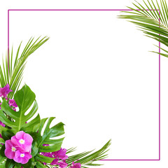 Fototapeta na wymiar Catharanthus flowers and bougainvillea with palm leaves in corner tropical arrangement with frame