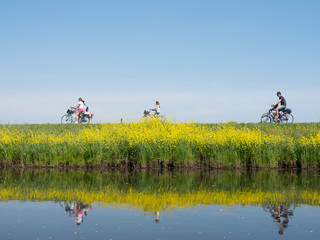 family rides bicycle along water of valleikanaal near leusden in the netherlands and passes yellow...
