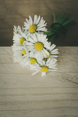 Obraz premium Close up of blooming daisies on rustic wooden background. Vintage floral spring background or daisies background