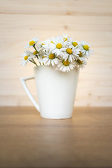 View of a bunch of fresh daisies in a white porcelain cup or vase on a wooden background. Hello spring or spring flowers background