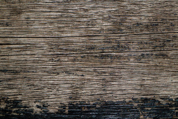 Fototapeta premium Beautiful rock wood and stone abstract texture background and wallpaper