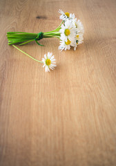 A bunch or bouquet of white blooming daisies on rustic wooden background. Hello spring or spring floral background