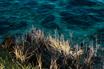 Naklejka na ściany i meble Blue sea view at azure water and stones and grass at seashore. Text space copy.