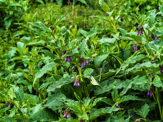 OLYMPUS DIGITAL CAMERA - RAIL TRACK