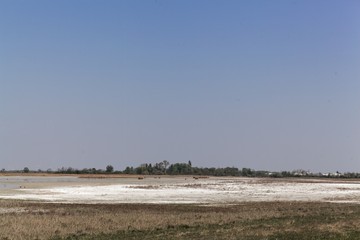 View on the lake Zicksee, a periodic soda lake in Austria