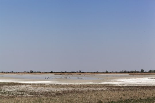 View on the lake Zicksee, a periodic soda lake in Austria
