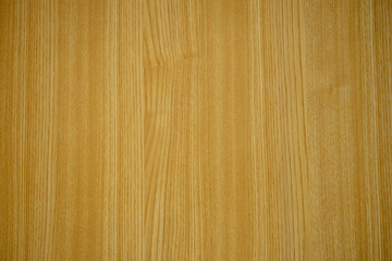 Naklejka premium Wood texture for background, copy space and wallpaper