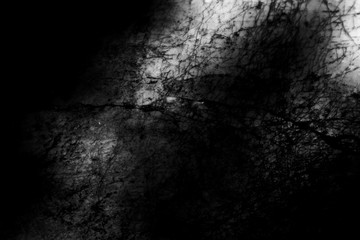 Beautiful rock wood and stone abstract texture background and wallpaper