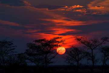 Sonnenuntergang in der Namib