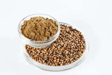 Coriander Isolated in white.