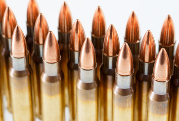 Hunting cartridges of caliber. 308 Win