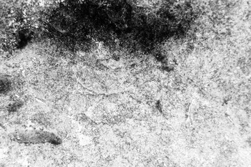 Beautiful rock wood and stone abstract texture background and wallpaper