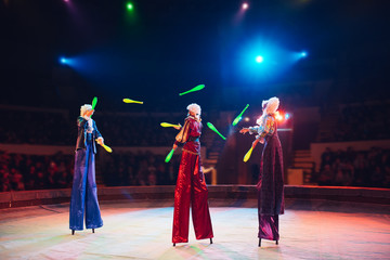 The performance of stilt-walkers in the circus.