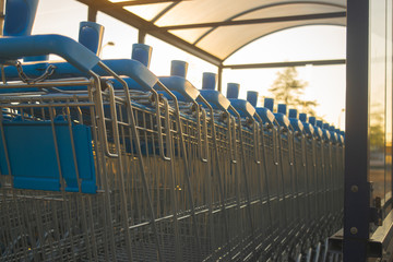 Row Of Shopping Cart In Sunlight