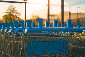 Row Of Shopping Cart In Sunlight