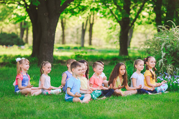 Fototapeta premium A large group of children engaged in yoga in the Park sitting on the grass.