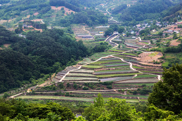 This is a stepped rice paddy in Hamyang County, Korea.