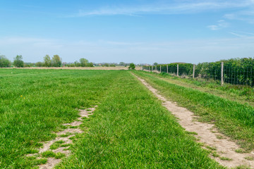 Naklejka premium Country road in grass meadown