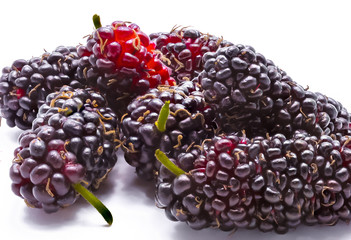 Close up mulberry