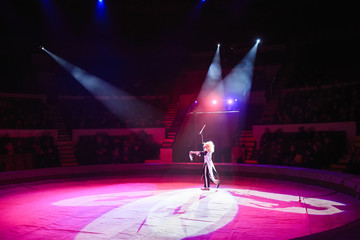 Clown performance in the circus © davit85