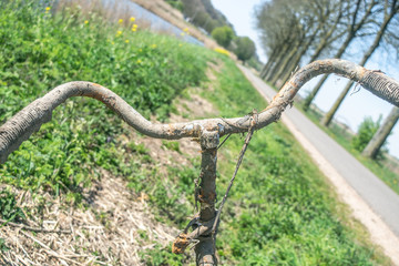 Obraz premium Old Rusty Bike Lay in Grass