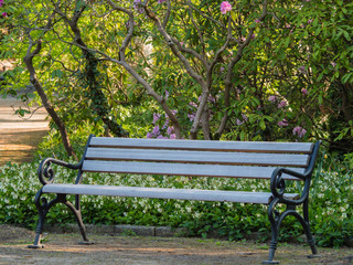 Parkbank unter Bäumen in einem Stadtpark