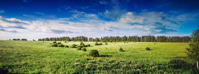 Rural nature landscape, meadow and forest