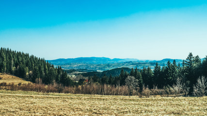 Widok na polanie w górach