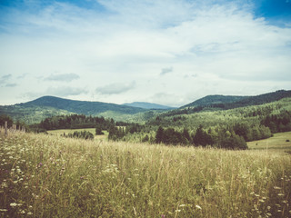 Naklejka premium Górski widok
