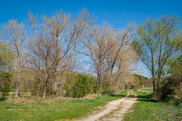 Obraz premium Frühling an einem Feldweg zwischen den Orten Hönow-Nord und Eiche bei Berlin