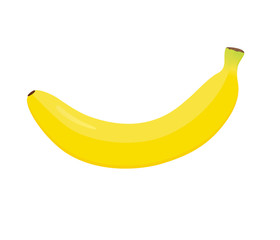 Vector yellow banana on white background. Tropical fruit
