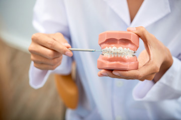 Plastic jaws with braces in hands of dentist