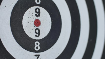 hitting bull's eye, single shot bulls-eye. Concept of successful business ideas hitting the exact center of the target. Perfect performance of the task and superiority over the rivals.
