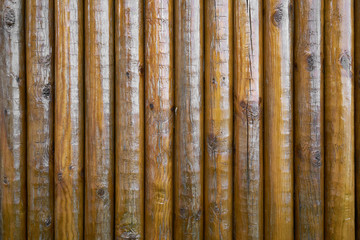 Tło z bambusa