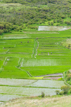 Landscape in Madagascar