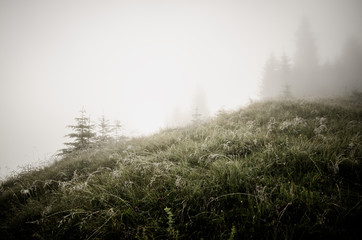 Obraz na płótnie Canvas Foggy morning landscape
