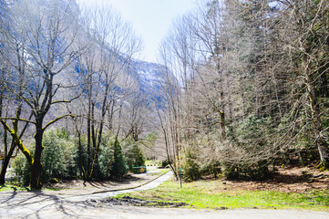 Viaje al Parque natural de Ordesa España